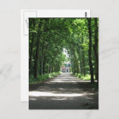 Eine niederländische Lane in Forrest in Holland Fo Postkarte (Vorne/Hinten)