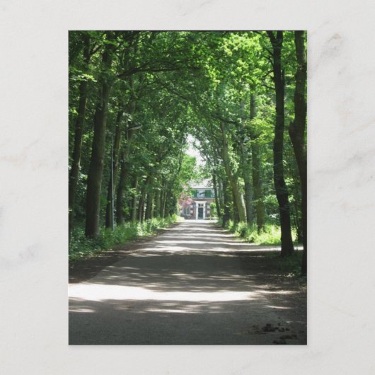Eine niederländische Lane in Forrest in Holland Fo Postkarte (Vorderseite)
