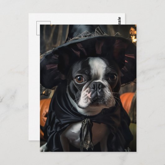 Eine Niedliche Boston Terrier Halloween Hexe Postkarte (Vorne/Hinten)