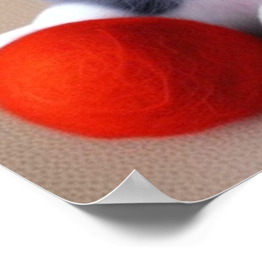 Eine Niedliche Husky-Welpe Poster (Ecke)