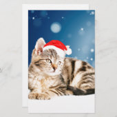Eine Niedliche Katze, die einen Weihnachtsschnee i Briefpapier (Vorne/Hinten)