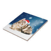 Eine Niedliche Katze, die einen Weihnachtsschnee i Fliese (Seite)