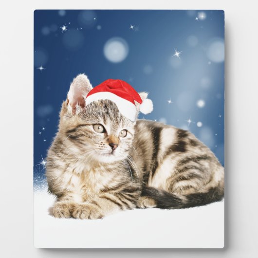 Eine Niedliche Katze, die einen Weihnachtsschnee i Fotoplatte (Vorderseite)