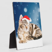 Eine Niedliche Katze, die einen Weihnachtsschnee i Fotoplatte (Seite)