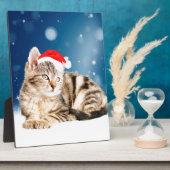 Eine Niedliche Katze, die einen Weihnachtsschnee i Fotoplatte (Seite)