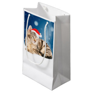 Eine Niedliche Katze, die einen Weihnachtsschnee i Kleine Geschenktüte