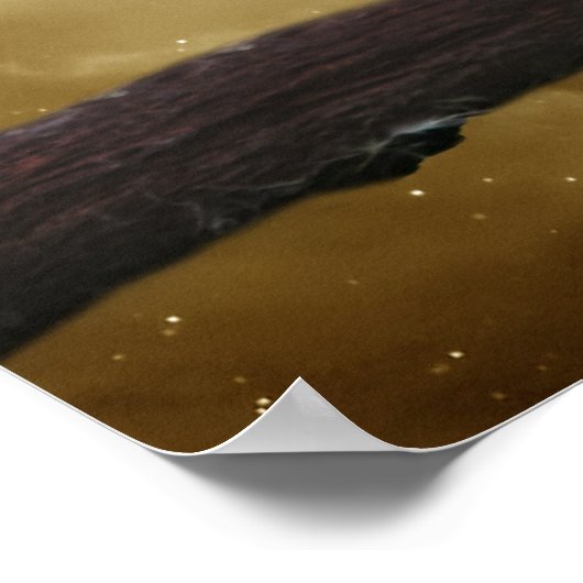 Eine Niedliche, kleine Barschbackfantasie Poster (Ecke)