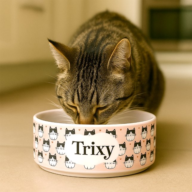 Eine Niedliche und Personalisierte Katzenschale Napf (Personalised  cat bowl with illustrations of cats and editable name)
