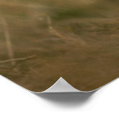 Eine Niedliche West Highland Terrier Welpe läuft Poster (Ecke)