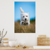 Eine Niedliche West Highland Terrier Welpe läuft Poster (Küche)