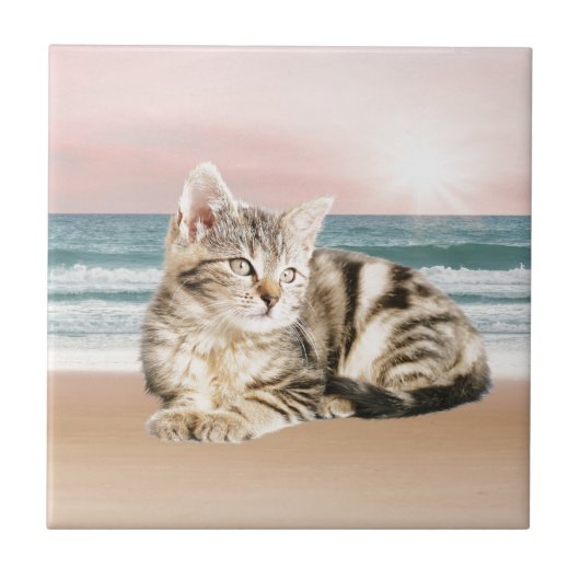 Eine Niedlichere gestreifte Katze am Strand mit So Fliese (Vorderseite)