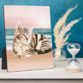 Eine Niedlichere gestreifte Katze am Strand mit So Fotoplatte (Seite)