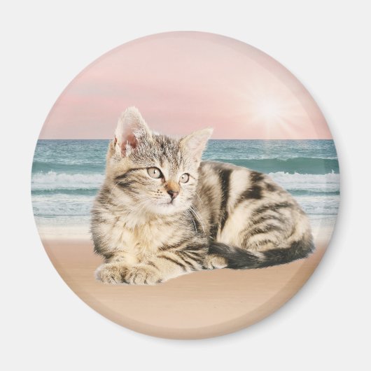 Eine Niedlichere gestreifte Katze am Strand mit So Magnet (Vorne)
