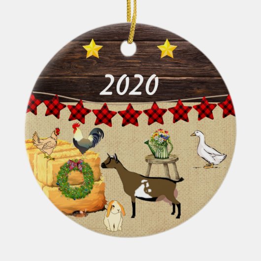 Eine nigerianische Zwergziege Keramik Ornament (Vorne)