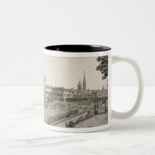 Eine Nordwestansicht des Sommer-Palastes von ihrem Zweifarbige Tasse