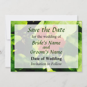 Eine Orange Kapuzinerkresse Save the Date