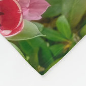 Eine orangefarbene Katze im Garten mit rosa Frühli Fleecedecke (Ecke)