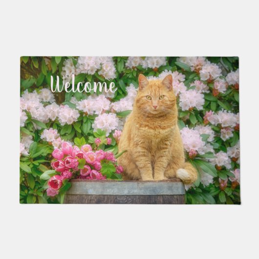 Eine orangefarbene Katze im Garten mit rosa Frühli Fußmatte (Vorderseite)