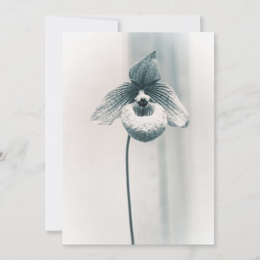Eine orchid-Blume Karte (Vorderseite)