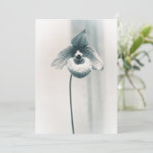 Eine orchid-Blume Karte (Stehend Vorderseite)