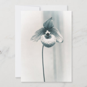 Eine orchid-Blume Karte