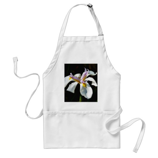 Eine Orchidee mit den weißen Blumenblättern Schürze (Vorne)