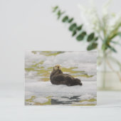 Eine Otter-Erholung auf einem kleinen Eisberg Postkarte (Stehend Vorderseite)