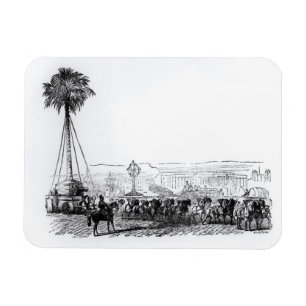 Eine Palme, die zu Hyde Park für transportiert Magnet