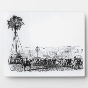 Eine Palme, die zum Hyde Park für die Fotoplatte