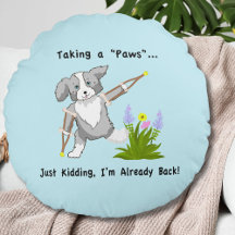 Eine "Paws"-Collie auf Krücken