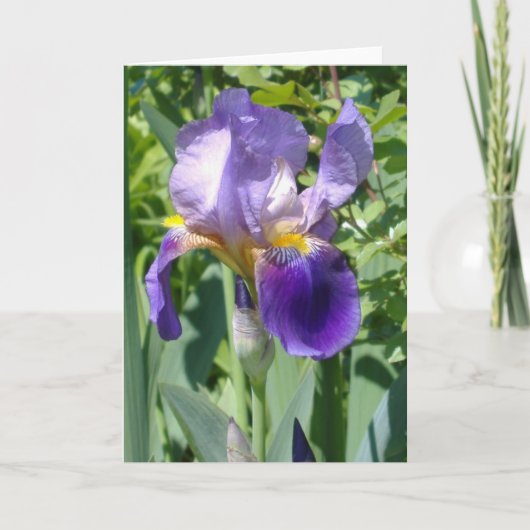 eine perfekte Iris des Singles Karte (Vorderseite)