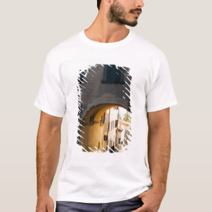Eine Person, die unter einem Torbogen einen Hügel  T-Shirt