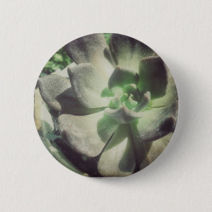 Eine Pflanze aus schwarzem und grünem Hen und Stei Button
