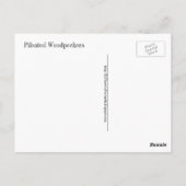 Eine Postkarte eines Paares gepileierter Spechte (Rückseite)