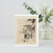 Eine Postkarte für Greifvögel (Stehend Vorderseite)