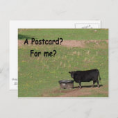 Eine Postkarte? Für mich? Postkarte (Vorne/Hinten)