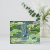 Eine Postkarte vom Everlages Nationalpark (Stehend Vorderseite)