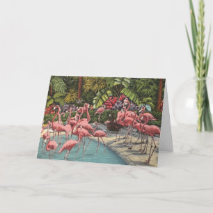 Eine Pracht von Flamingos Grußkarte Karte