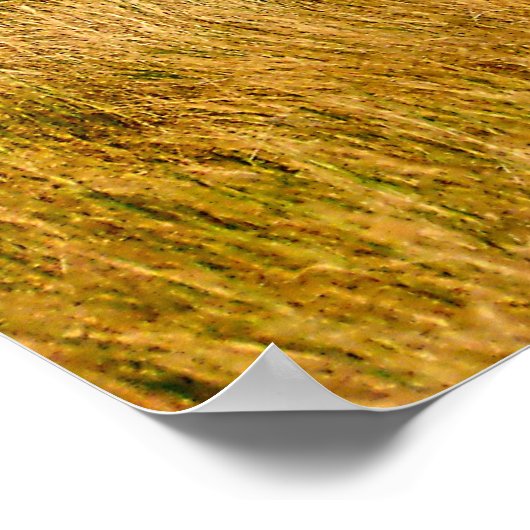 Eine Präriemeile Gerahmt Poster (Ecke)