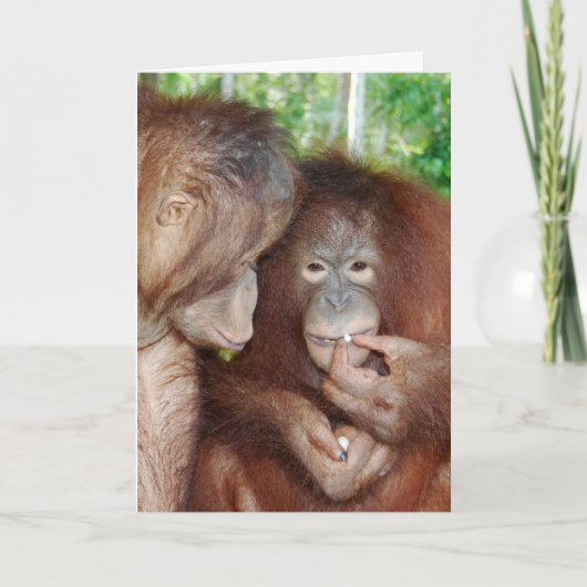 Eine Prinzessin bekommt alle Leckereien Karte (Vorderseite)