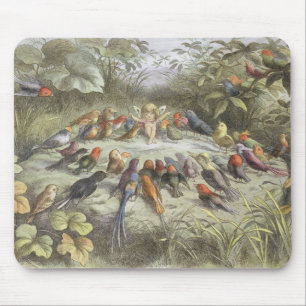 Eine Probe im feenhaften Land, Illustration von Mousepad