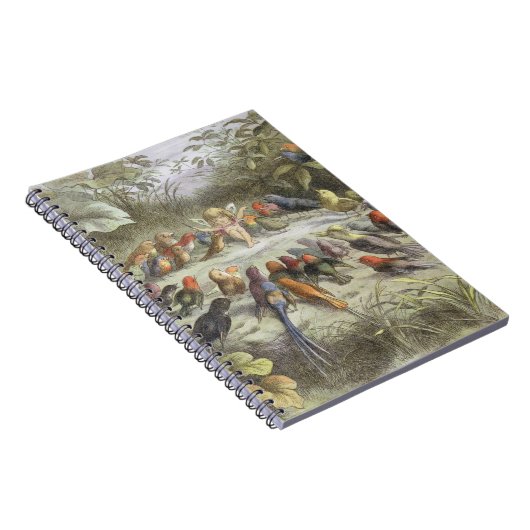 Eine Probe in Fairy Land, Abbildung von "In F Notizblock (Rechte Seite)