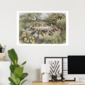 Eine Probe in Fairy Land, Abbildung von "In F Poster (Heimbüro)