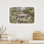 Eine Probe in Fairy Land, Abbildung von "In F Poster (Küche)