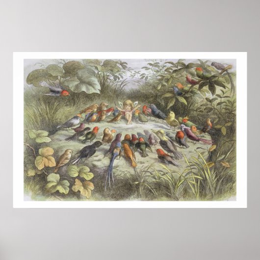 Eine Probe in Fairy Land, Abbildung von "In F Poster (Vorne)