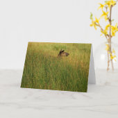 Eine Quick Peak Card Karte (Gelbe Blume)
