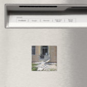 Eine raketengetriebene Granate Magnet (In Situ (Geschirrspüler))