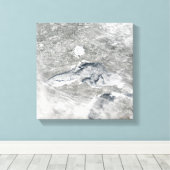 Eine relativ seltene Eisdecke Leinwanddruck (Insitu (Holzboden))