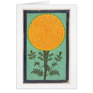 Eine Ringelblume, vom kleinen Clive Album (w/c auf