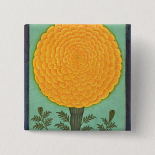 Eine Ringelblume, vom kleinen Clive Album (w/c auf Button